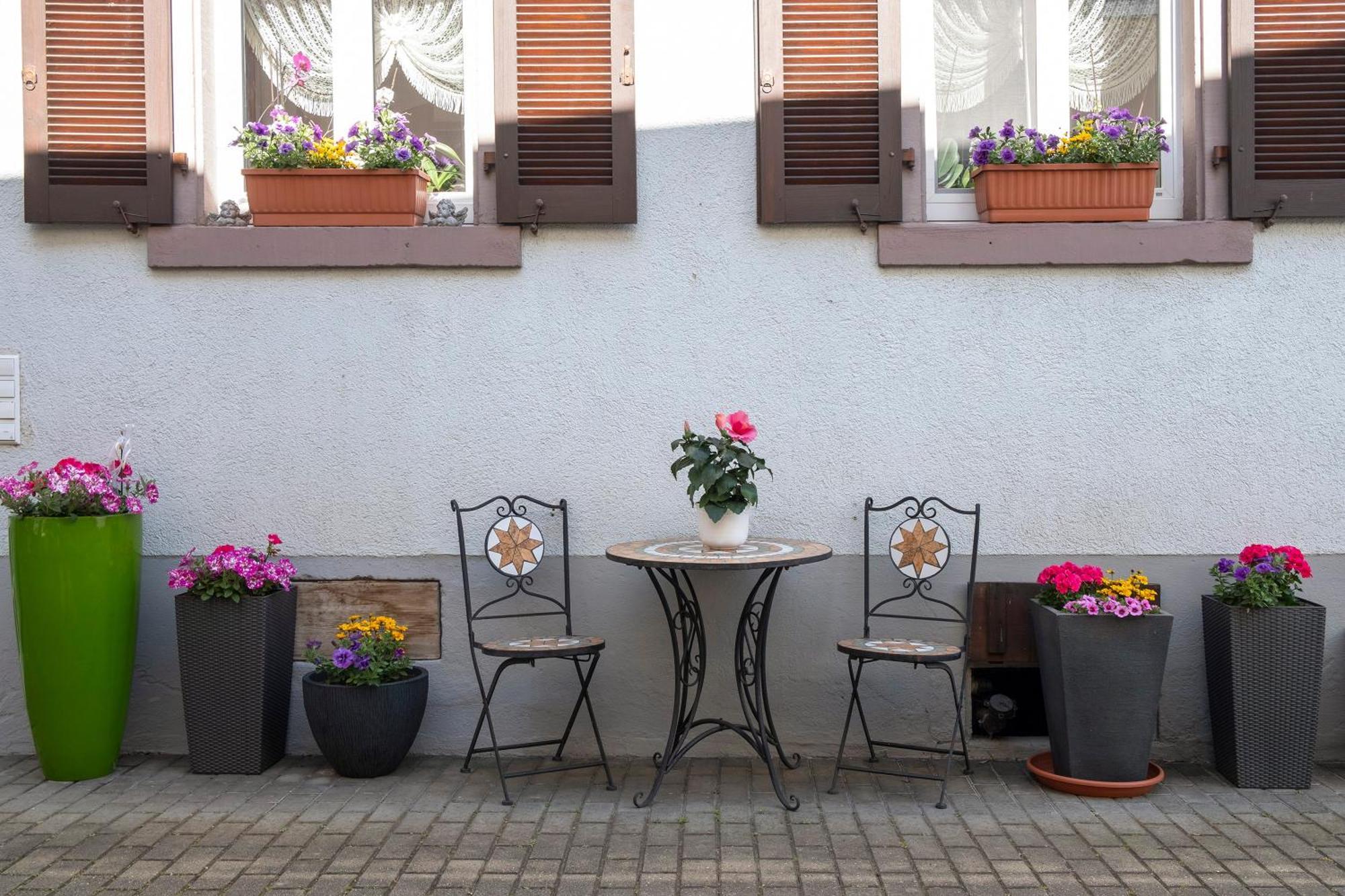 Ferienwohnung Fliegerhorst Endingen am Kaiserstuhl Exteriér fotografie