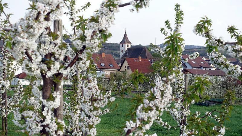 Ferienwohnung Fliegerhorst Endingen am Kaiserstuhl Exteriér fotografie